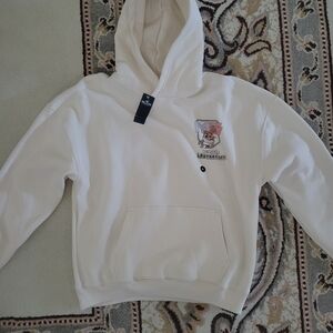 Dexter's Laborrty Hollister Hoodie